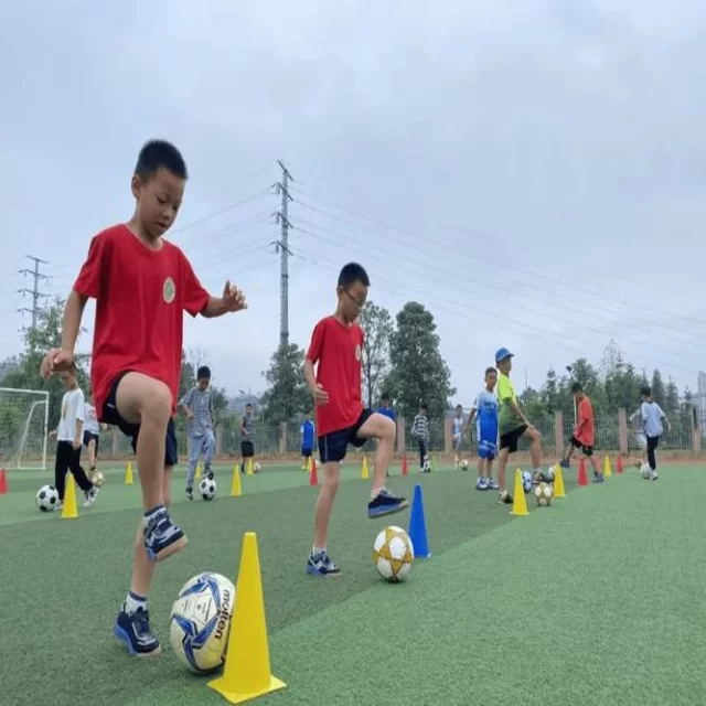 电竞季后赛阵容战术变化全视角解析